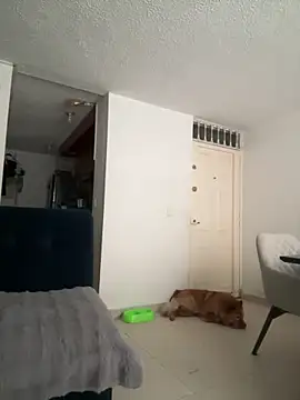 Snapshot of ariiel_ chatting on 19, 3, 2025 ariiel online show from 19, 3, 2025