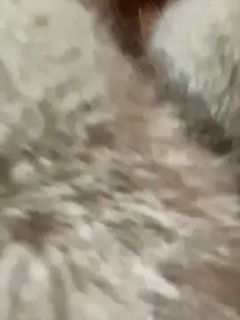 babydolll online show from 10, 1, 2025