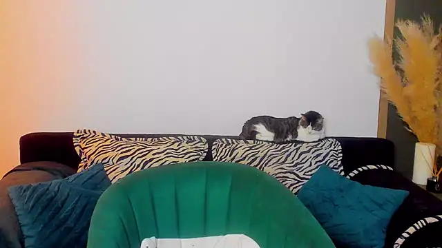 rora skyline online show from 5, 3, 2026