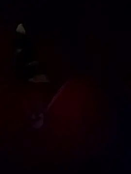 Kashish SC online show from 18, 1, 2026