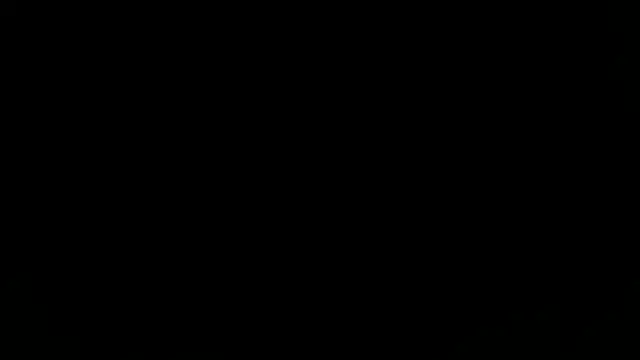 taallguyy 196 online show from 23, 11, 2025