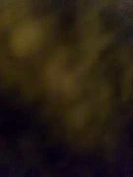 Snapshot of LSD321@xh chatting on 5, 10, 2025 LSD321xh online show from 5, 10, 2025