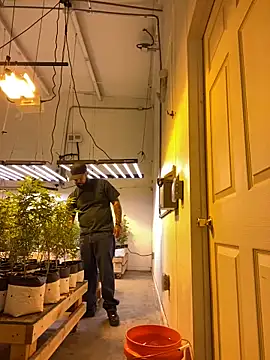 Snapshot of jr91esl chatting on 2, 3, 2025 jr91esl online show from 2, 3, 2025