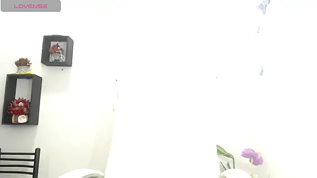 elly willis online show from 3, 3, 2025