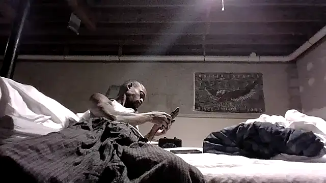 KinGKane84 online show from 24, 12, 2024