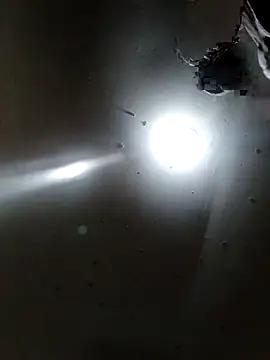 Innsaciable online show from 11, 4, 2026