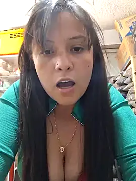 nidia2026 online show from 13, 1, 2025