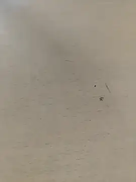 shale26 online show from 28, 9, 2025