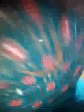 Ruby Sc online show from 8, 12, 2024