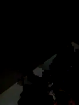 Kitjai200301 online show from 1, 11, 2025