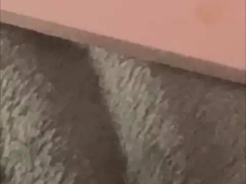 BCNguy1 online show from 16, 1, 2026