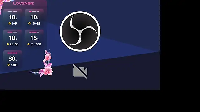  Willow  online show from 18, 11, 2025