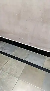 bhavanitelu online show from 8, 3, 2025