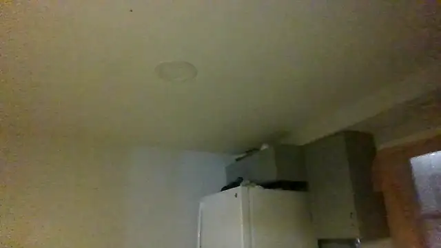 Snapshot of NastyBlackslaveGirl chatting on 21, 1, 2025 NastyBlackslaveGirl online show from 21, 1, 2025