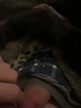 Snapshot of hamoo23p chatting on 22, 2, 2026 hamoo23p online show from 22, 2, 2026