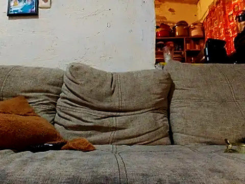 NewBe9D9 online show from 23, 11, 2025