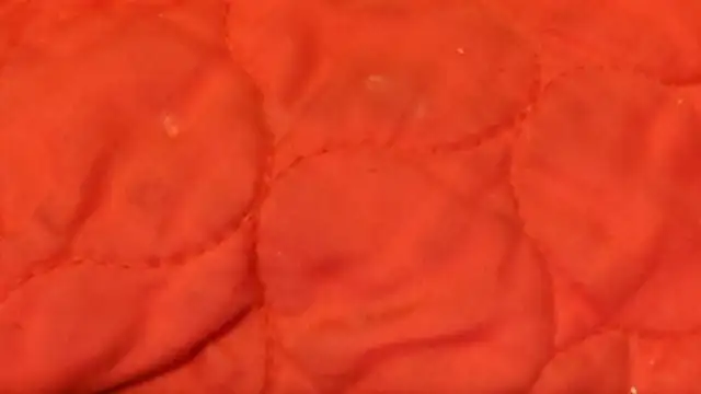 Snapshot of Huntzg23 chatting on 28, 11, 2025 Huntzg23 online show from 28, 11, 2025