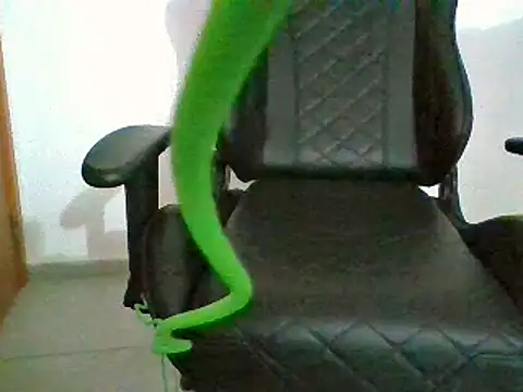 NovinhoPirocudo6999 online show from 8, 1, 2025