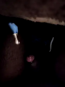 sasuke782 online show from 19, 12, 2024