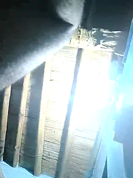 sasuke782 online show from 25, 2, 2025