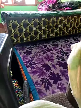 bigtoool12 online show from 2, 10, 2025