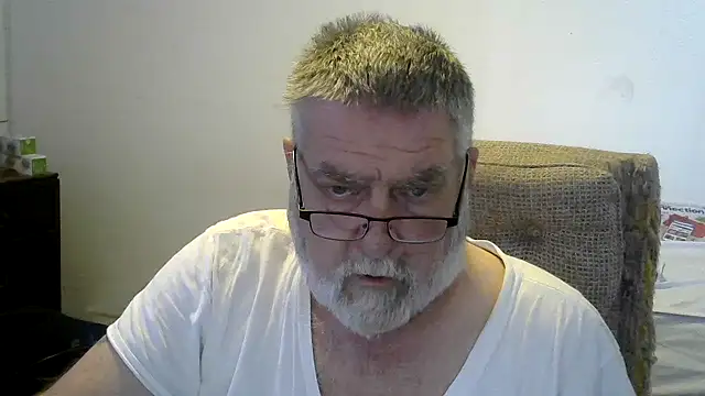 viejo oso online show from 5, 11, 2025