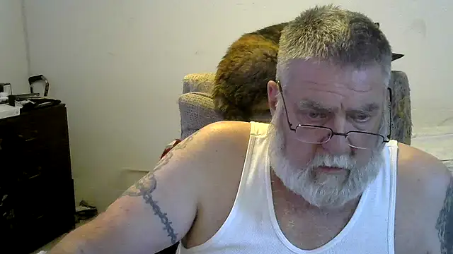 viejo oso online show from 16, 2, 2026
