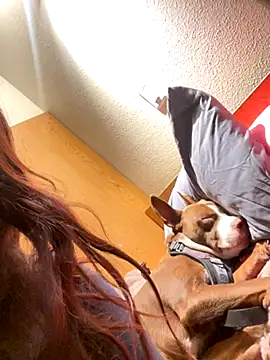 Dnasty408 online show from 18, 10, 2025