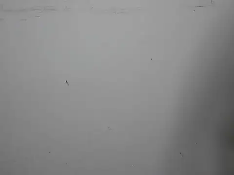 GoddessGlide online show from 16, 3, 2025