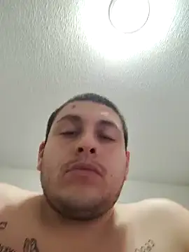 Itallionstallion online show from 26, 12, 2024