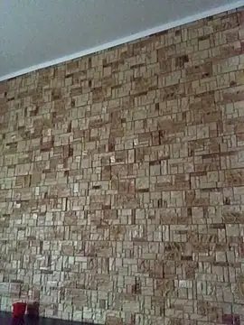 Prolisok473 online show from 30, 1, 2025