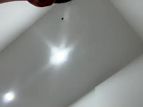 Sexocokin online show from 16, 12, 2025