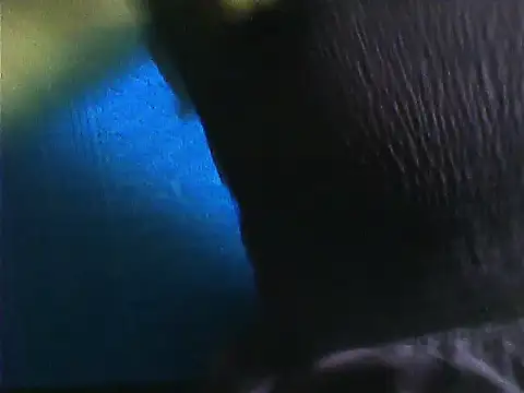 Tamil Vishalini online show from 28, 11, 2025