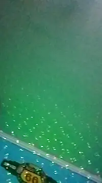 Snapshot of Elrep_tile chatting on 11, 3, 2025 Elrep tile online show from 11, 3, 2025