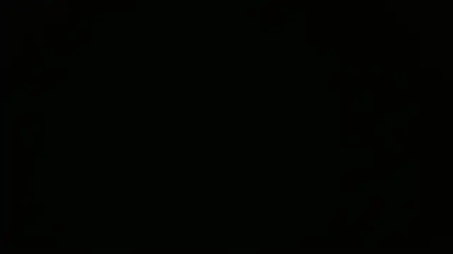 maison sofia1 online show from 28, 3, 2026