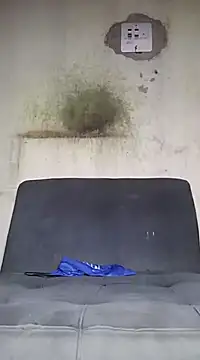 Kaizer1 online show from 14, 10, 2025