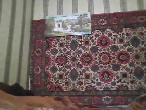 AlferezzSolvajo online show from 21, 11, 2025