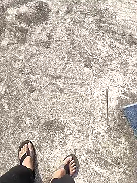 aryan 8051 online show from 12, 1, 2025