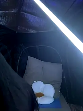 csck2025 online show from 29, 11, 2025