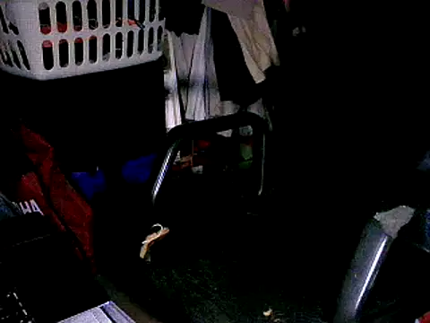 Snapshot of SergCarMX1 chatting on 6, 10, 2025 SergCarMX1 online show from 6, 10, 2025