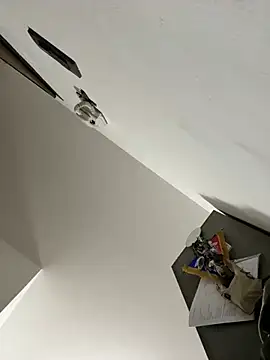 ilmaestoso online show from 21, 2, 2025