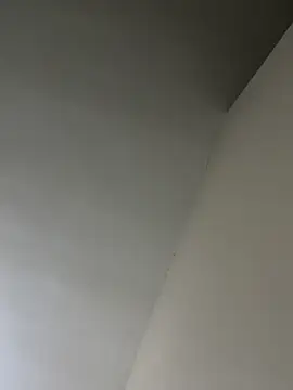 senle12ben online show from 25, 1, 2025