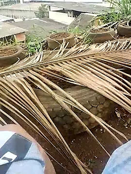 safado0027 online show from 15, 10, 2025