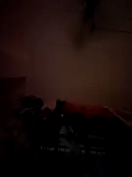 opkiller901 online show from 12, 1, 2025