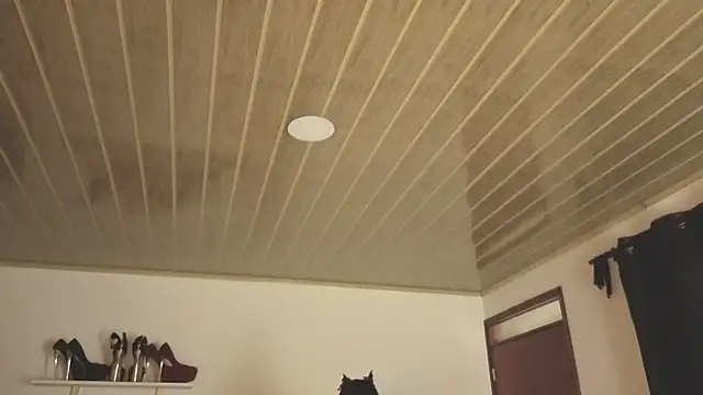 Renaxi Smith online show from 31, 10, 2025