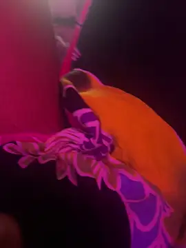 Lilymoonshow online show from 17, 3, 2025