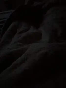 Lilymoonshow online show from 7, 4, 2026