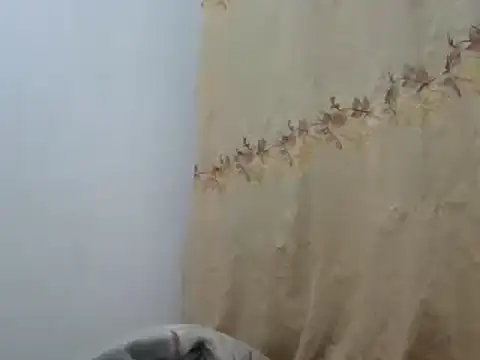 Snapshot of Sr_JakoXXXX chatting on 20, 2, 2025 Sr JakoXXXX online show from 20, 2, 2025