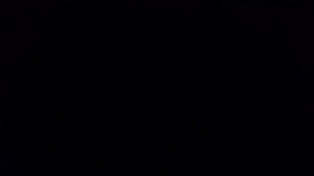 petina online show from 15, 1, 2026