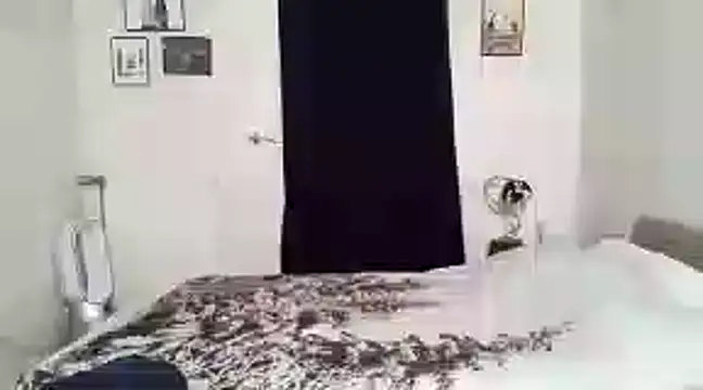 Snapshot of alexandrezeke chatting on 27, 2, 2025 alexandrezeke online show from 27, 2, 2025